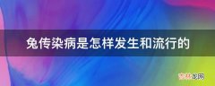 兔传染病是怎样发生和流行的?