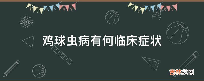 鸡球虫病有何临床症状?