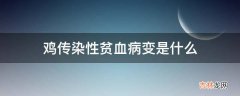 鸡传染性贫血病变是什么?