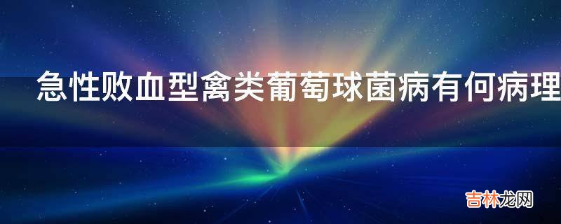 急性败血型禽类葡萄球菌病有何病理变化?