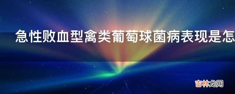 急性败血型禽类葡萄球菌病表现是怎样的?