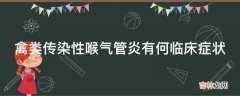 禽类传染性喉气管炎有何临床症状?