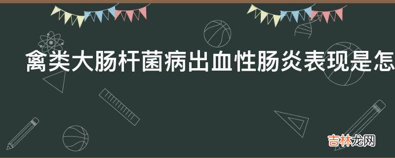 禽类大肠杆菌病出血性肠炎表现是怎样的?