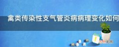 禽类传染性支气管炎病病理变化如何?