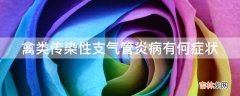 禽类传染性支气管炎病有何症状?