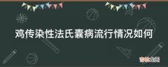 鸡传染性法氏囊病流行情况如何?