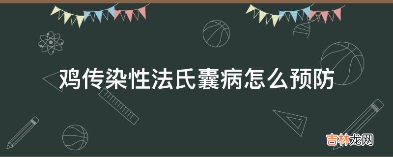 鸡传染性法氏囊病怎么预防?