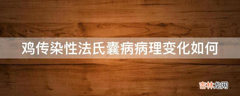 鸡传染性法氏囊病病理变化如何?