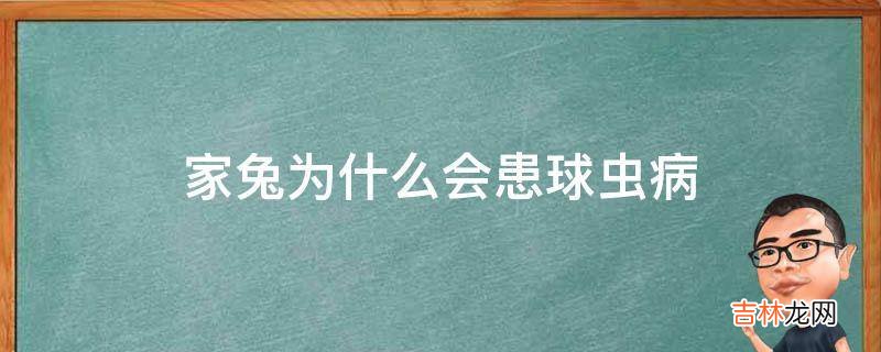 家兔为什么会患球虫病?