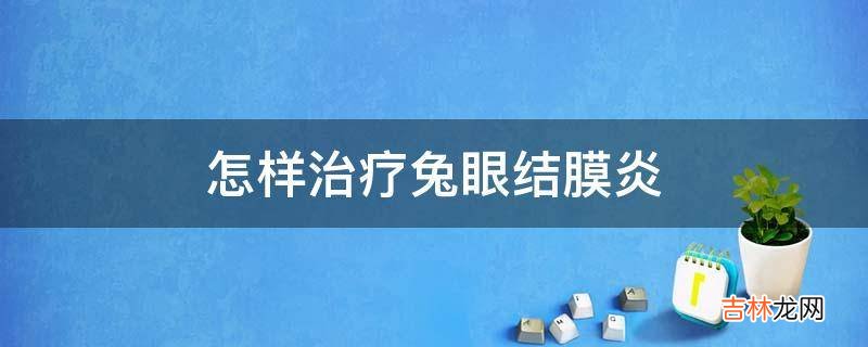 怎样治疗兔眼结膜炎?