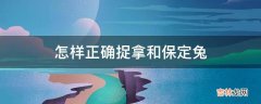 怎样正确捉拿和保定兔?