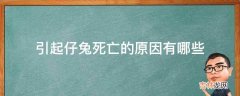 引起仔兔死亡的原因有哪些?