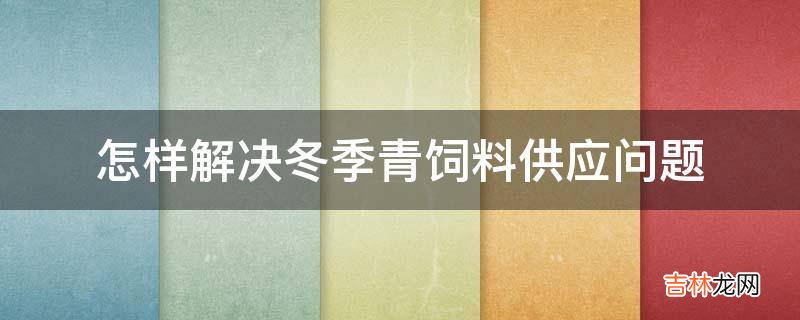 怎样解决冬季青饲料供应问题?