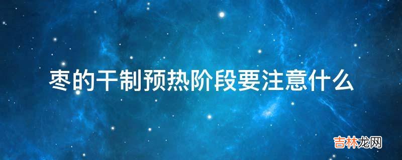 枣的干制预热阶段要注意什么?
