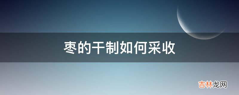 枣的干制如何采收?