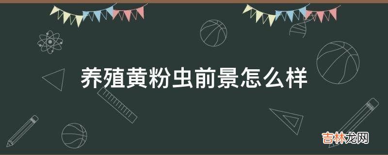 养殖黄粉虫前景怎么样?