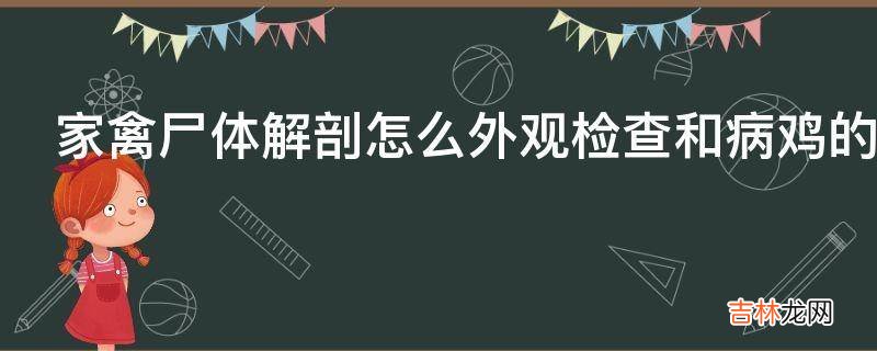 家禽尸体解剖怎么外观检查和病鸡的扑杀?