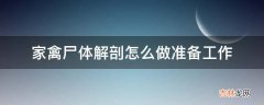 家禽尸体解剖怎么做准备工作?