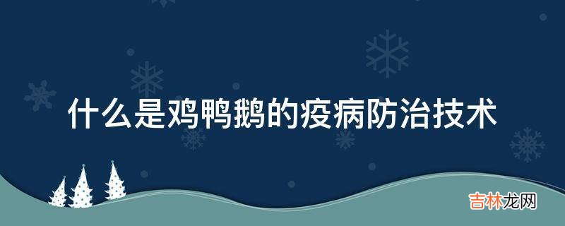 什么是鸡鸭鹅的疫病防治技术?