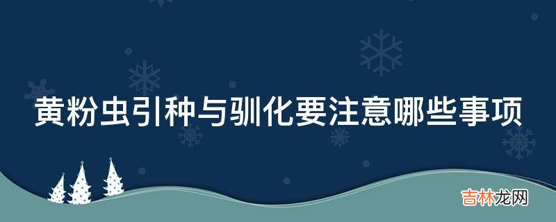 黄粉虫引种与驯化要注意哪些事项?