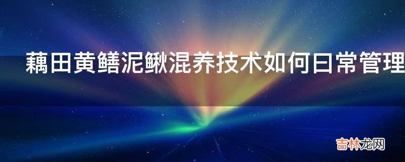 藕田黄鳝泥鳅混养技术如何曰常管理?