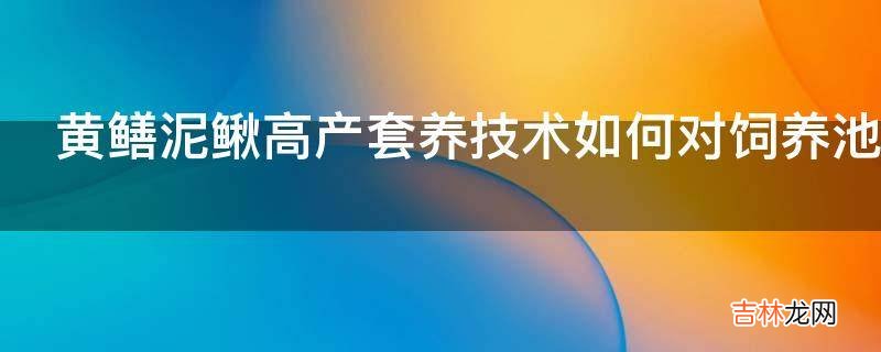黄鳝泥鳅高产套养技术如何对饲养池管理?