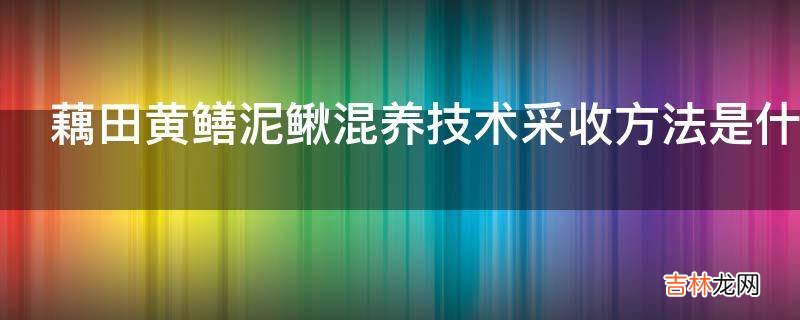 藕田黄鳝泥鳅混养技术采收方法是什么?