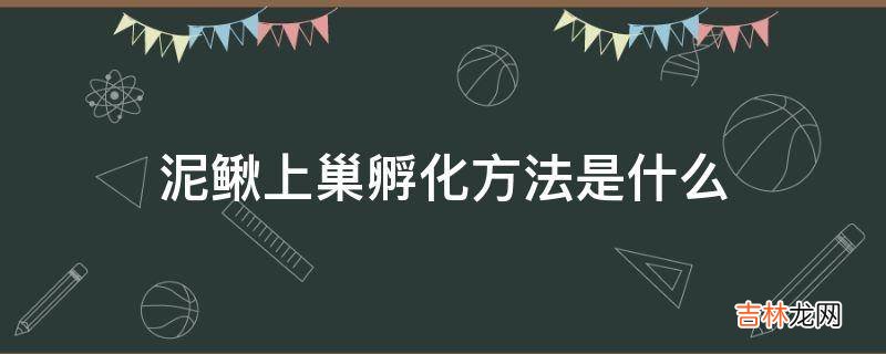 泥鳅上巢孵化方法是什么?