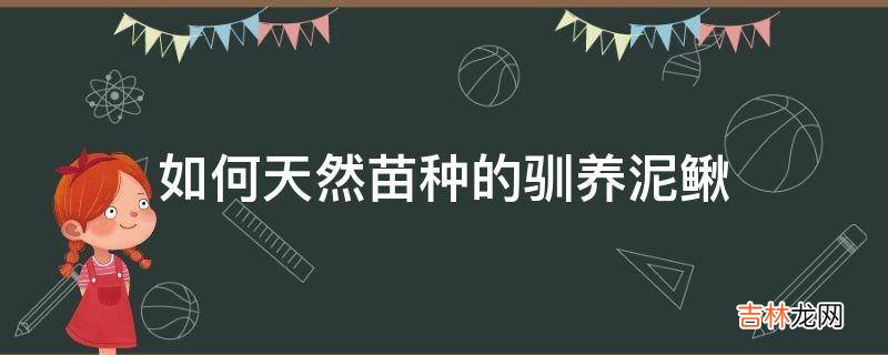 如何天然苗种的驯养泥鳅?