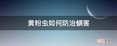 黄粉虫如何防治螨害?