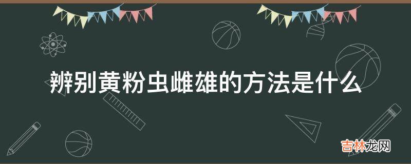 辨别黄粉虫雌雄的方法是什么?