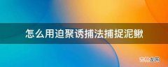 怎么用迫聚诱捕法捕捉泥鳅?