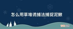 怎么用草堆诱捕法捕捉泥鳅?