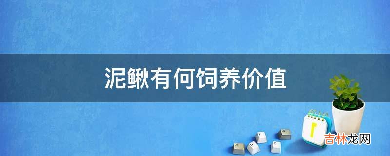 泥鳅有何饲养价值?