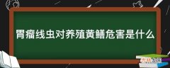 胃瘤线虫对养殖黄鳝危害是什么?