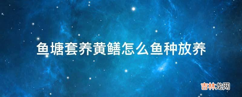 鱼塘套养黄鳝怎么鱼种放养?