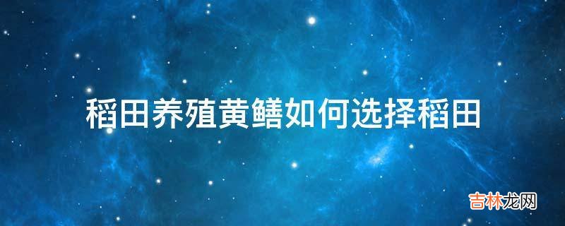 稻田养殖黄鳝如何选择稻田?