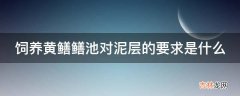 饲养黄鳝鳝池对泥层的要求是什么?