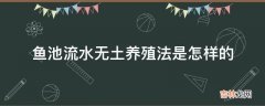 鱼池流水无土养殖法是怎样的?