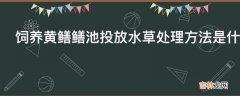 饲养黄鳝鳝池投放水草处理方法是什么?