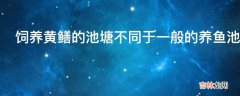 饲养黄鳝的池塘不同于一般的养鱼池塘吗?