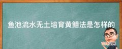 鱼池流水无土培育黄鳝法是怎样的?