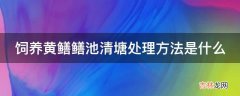 饲养黄鳝鳝池清塘处理方法是什么?