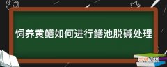 饲养黄鳝如何进行鳝池脱碱处理?