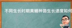 不同生长时期黄鳝种苗生长速度如何?