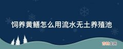 饲养黄鳝怎么用流水无土养殖池?