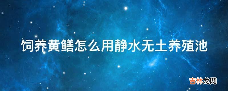 饲养黄鳝怎么用静水无土养殖池?