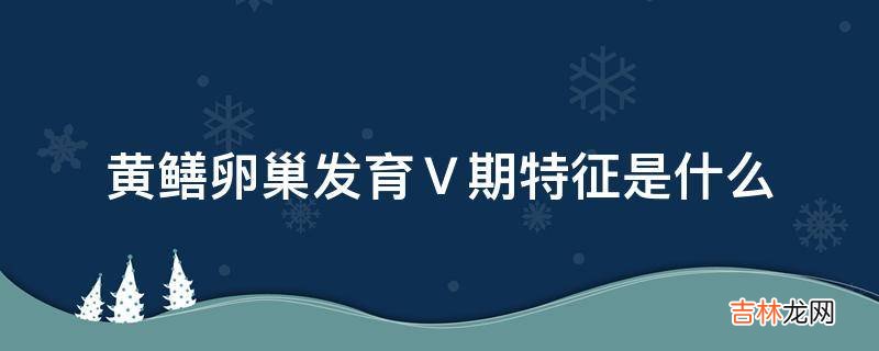 黄鳝卵巢发育Ⅴ期特征是什么?