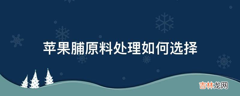 苹果脯原料处理如何选择?