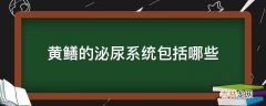 黄鳝的泌尿系统包括哪些?